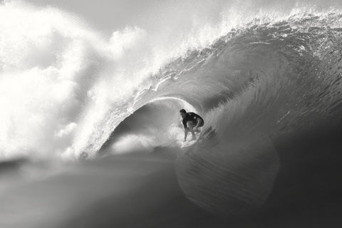 Ted Gushue