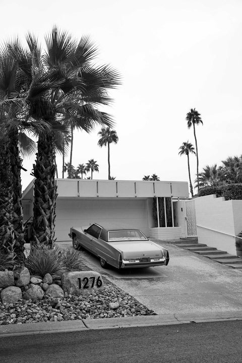 Palm Springs VIII | Womens Box Cut Tee