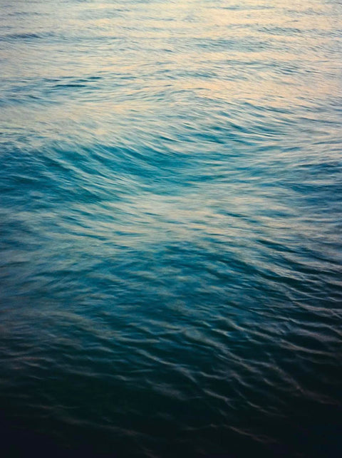 Shallows | Premium Gallery Tee